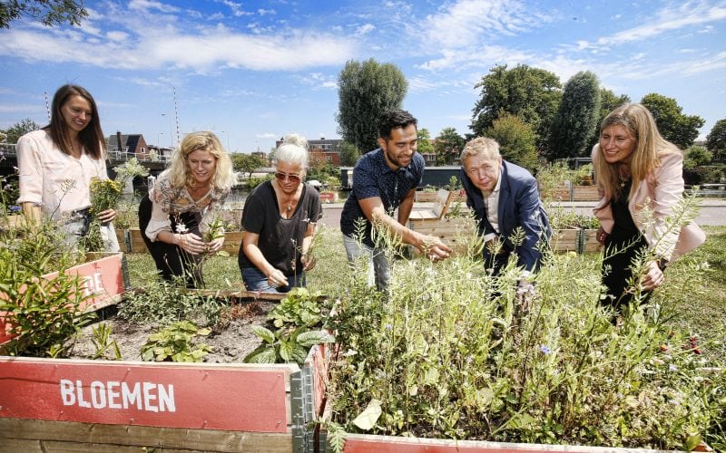 pluktuin-utrecht-800x500